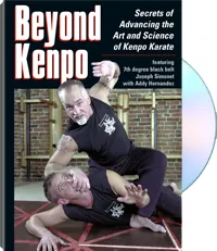 Beyond Kenpo by Joseph Simonet, Addy Hernandez, cover