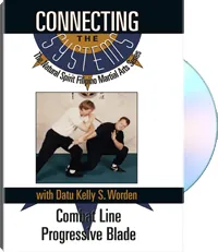 Connecting the Systems by Kelly S. Worden, cover