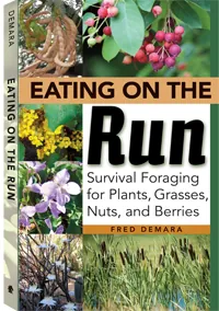 Eating on the Run by Fred Demara, cover