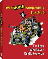 Even More Dangerously Fun Stuff, cover