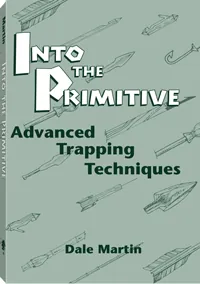 Into the Primitive by Dale Martin, cover